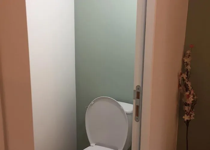 Apartament Cosy - Clermont-fd - 2 J Girod Clermont-Ferrand